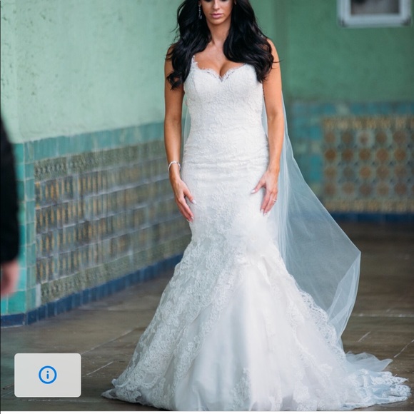 Ines Di Santo Wedding Dress - Picture 7 of 7